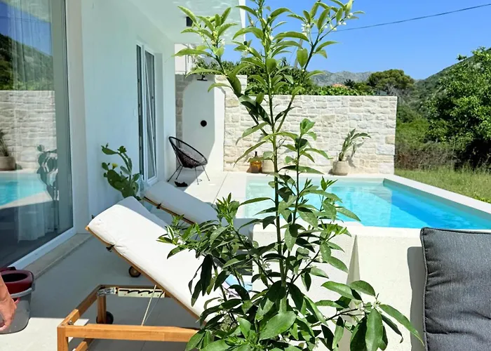 Pool 4 Leisure Appartement Dubrovnik