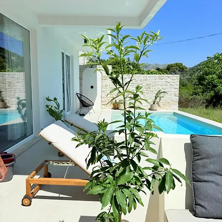 Pool 4 Leisure Apartment Dubrovnik